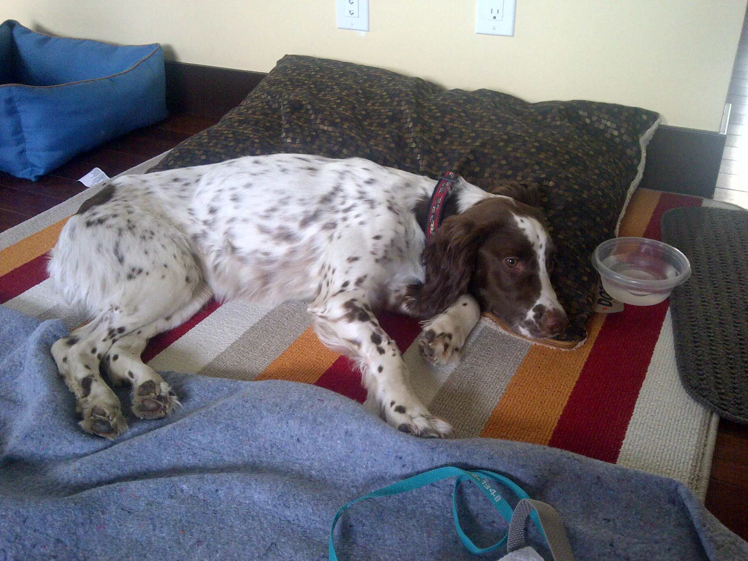 Day 5 – Yeah Cash gets to come home